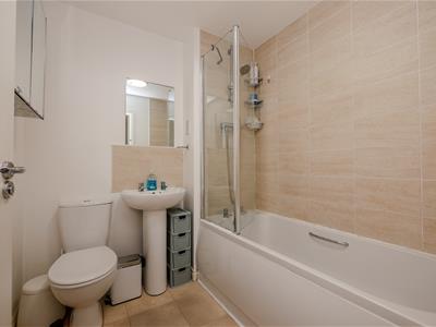 Picture 12
